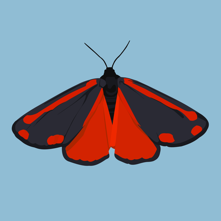 vector art of a red and black butterfly on a blue background